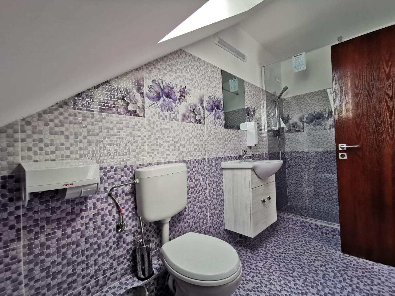 Pensiunea Miruna Valentin Jupiter Room photo